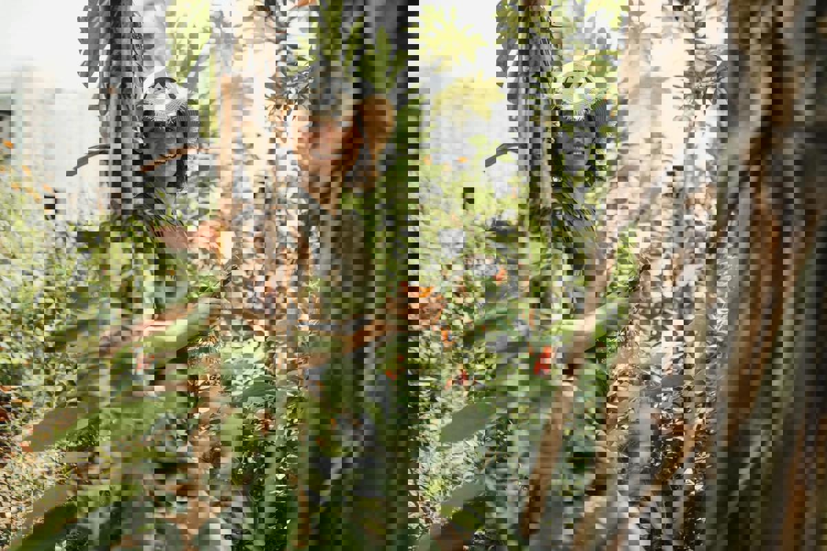 Urban Gardening: How Residents Are Turning Small Spaces Into Green Oases