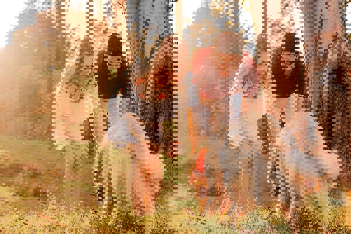 Dog Parks and Outdoor Adventures: Where to Make the Most of Pet-Friendly Spaces